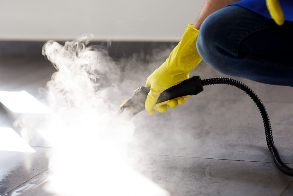 steam cleaning