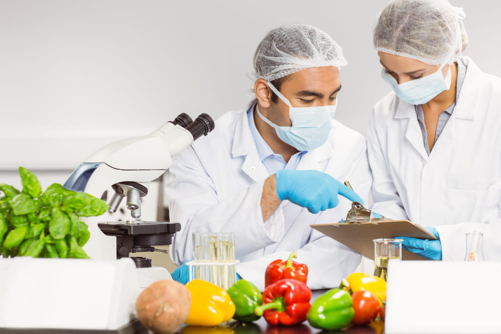 food safety dalam industri makanan